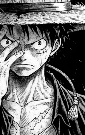 Tienda de Mangas en Chile | Compra Mangas en español 6 MANGA DE ONE PIECE IMAGEN CATEGORIA